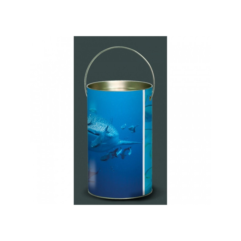 Lanterne faune marine requin baleine -FM1LAN