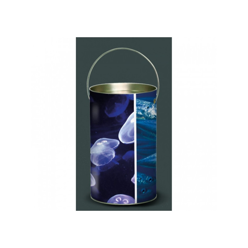 Décoration Luminaire Animaux Lanterne faune marine méduses -FM4LAN