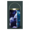 Décoration Luminaire Animaux Lanterne faune marine méduses -FM4LAN