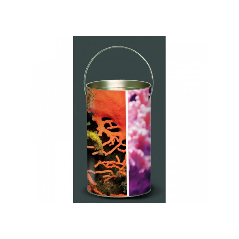 Décoration Luminaire Animaux Lanterne faune marine coraux -FM3LAN
