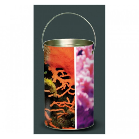 Décoration Luminaire Animaux Lanterne faune marine coraux -FM3LAN