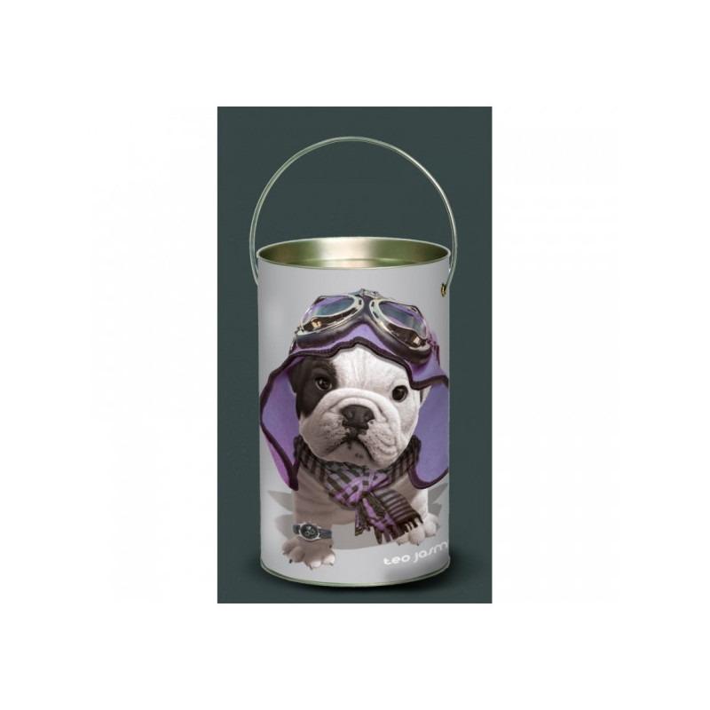 Décoration Luminaire Animaux Lanterne teo jasmin violet -TO2LAN