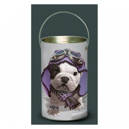 Décoration Luminaire Animaux Lanterne teo jasmin violet -TO2LAN