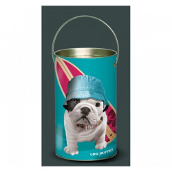 Décoration Luminaire Animaux Lanterne teo jasmin surf -TO4LAN
