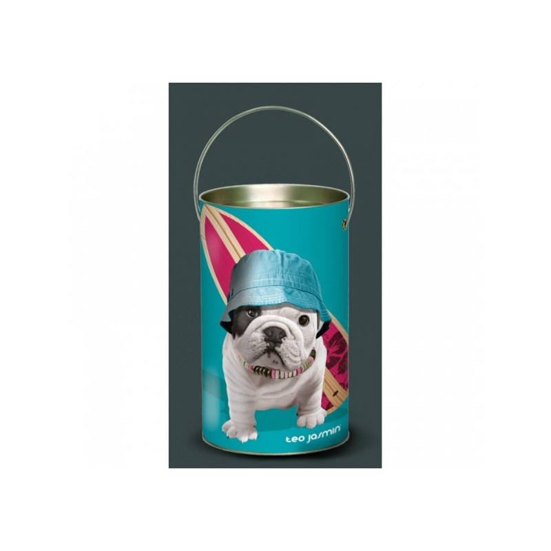 Décoration Luminaire Animaux Lanterne teo jasmin surf -TO4LAN
