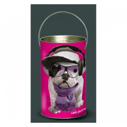 Décoration Luminaire Animaux Lanterne teo jasmin casque -TO3LAN