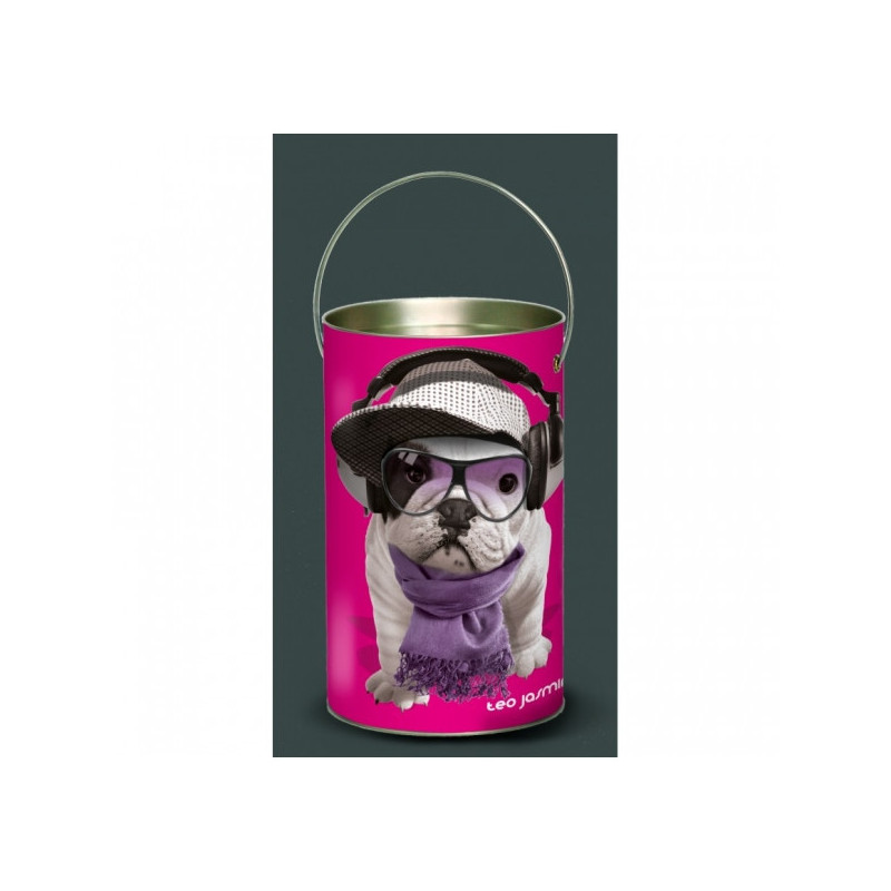 Décoration Luminaire Animaux Lanterne teo jasmin casque -TO3LAN