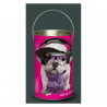 Décoration Luminaire Animaux Lanterne teo jasmin casque -TO3LAN