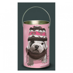 Décoration Luminaire Animaux Lanterne teo jasmin bonnet -TO1LAN