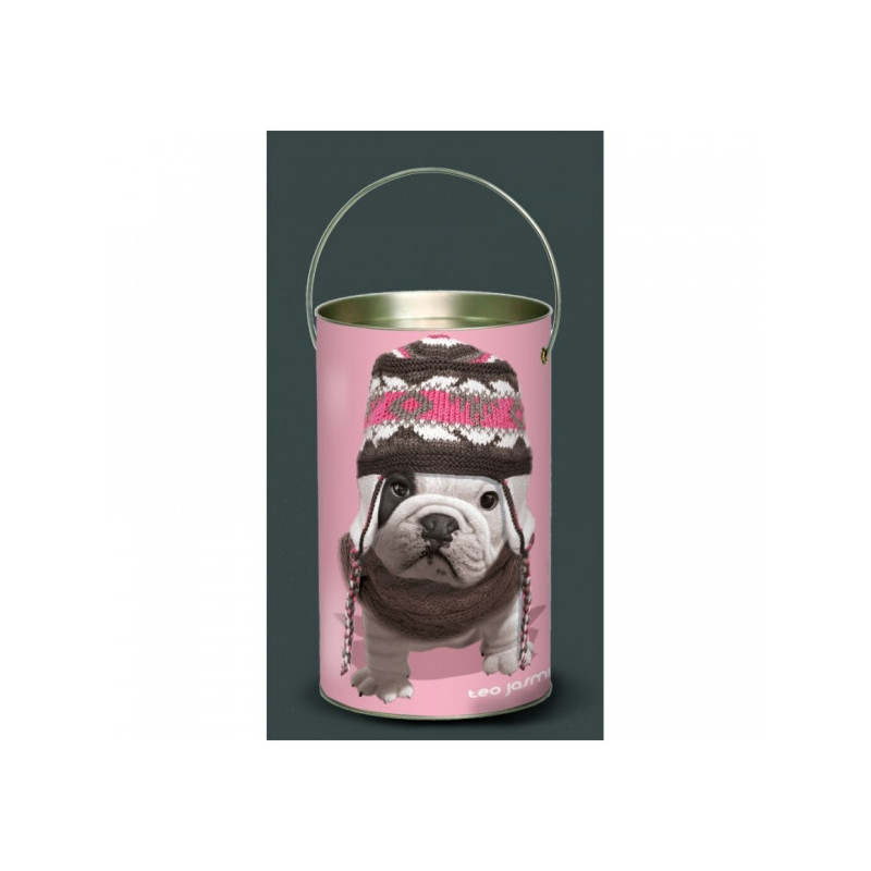 Décoration Luminaire Animaux Lanterne teo jasmin bonnet -TO1LAN