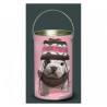 Décoration Luminaire Animaux Lanterne teo jasmin bonnet -TO1LAN