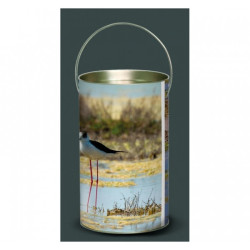 Décoration Luminaire Animaux Lanterne oiseaux chevalier gambette -OI3LAN