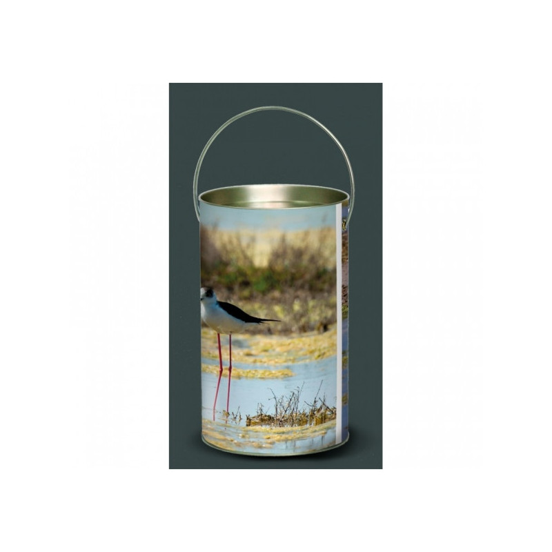 Décoration Luminaire Animaux Lanterne oiseaux chevalier gambette -OI3LAN