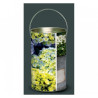 Décoration Luminaire Animaux Lanterne nature pivoines -NA4LAN
