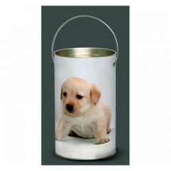 Décoration Luminaire Animaux Lanterne nos amis chiot labrador -NOA4LAN