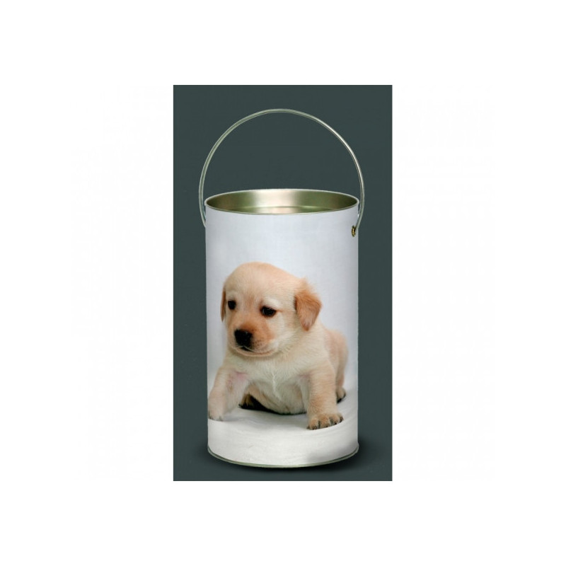 Décoration Luminaire Animaux Lanterne nos amis chiot labrador -NOA4LAN