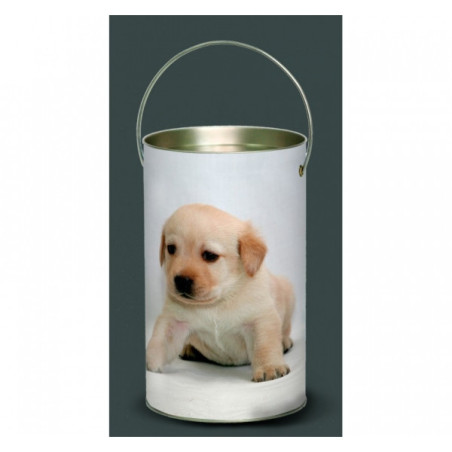 Décoration Luminaire Animaux Lanterne nos amis chiot labrador -NOA4LAN
