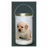Décoration Luminaire Animaux Lanterne nos amis chiot labrador -NOA4LAN