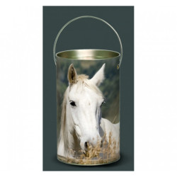 Décoration Luminaire Animaux Lanterne nos amis cheval blanc -NOA2LAN
