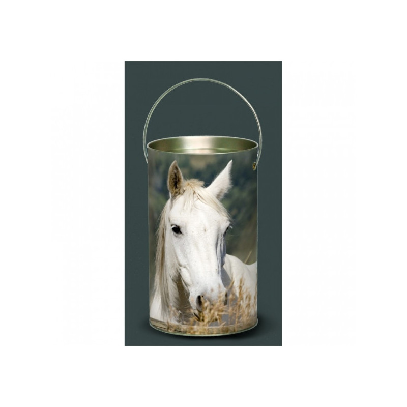 Décoration Luminaire Animaux Lanterne nos amis cheval blanc -NOA2LAN