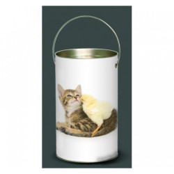 Décoration Luminaire Animaux Lanterne nos amis chat et poussin -NOA3LAN