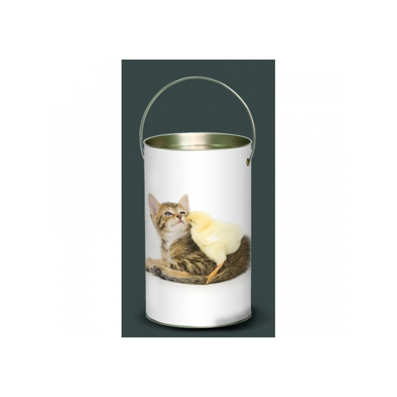 Décoration Luminaire Animaux Lanterne nos amis chat et poussin -NOA3LAN
