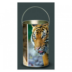 Décoration Luminaire Animaux Lanterne animaux sauvages tigre -AS1LAN