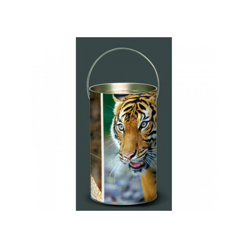 Décoration Luminaire Animaux Lanterne animaux sauvages tigre -AS1LAN