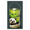 Décoration Luminaire Animaux Lanterne animaux sauvages panda -AS4LAN