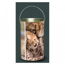 Décoration Luminaire Animaux Lanterne animaux sauvages guépard -AS3LAN
