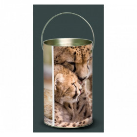Lanterne animaux sauvages guépard -AS3LAN
