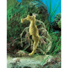 Animaux de la forêt Hypocampe dragon mer marionnette à doigts 
