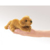 Marionnette à doigt mini peluche chien golden retriever folkmanis 2736