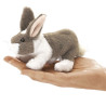 Animaux de la ferme Lapin marionnette doigts 