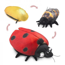 Animaux de la ferme Coccinelle cycle de vie marionnette 