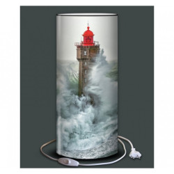Décoration Luminaire Animaux Lampe demoiselle plisson phare de la jument -PL1610