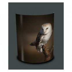 Décoration Luminaire Animaux Applique murale oiseaux chouette -OI1346APP