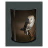 Décoration Luminaire Animaux Applique murale oiseaux chouette -OI1346APP