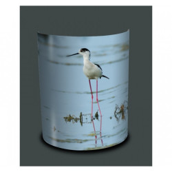 Décoration Luminaire Animaux Applique murale oiseaux chevalier gambette -OI1323APP