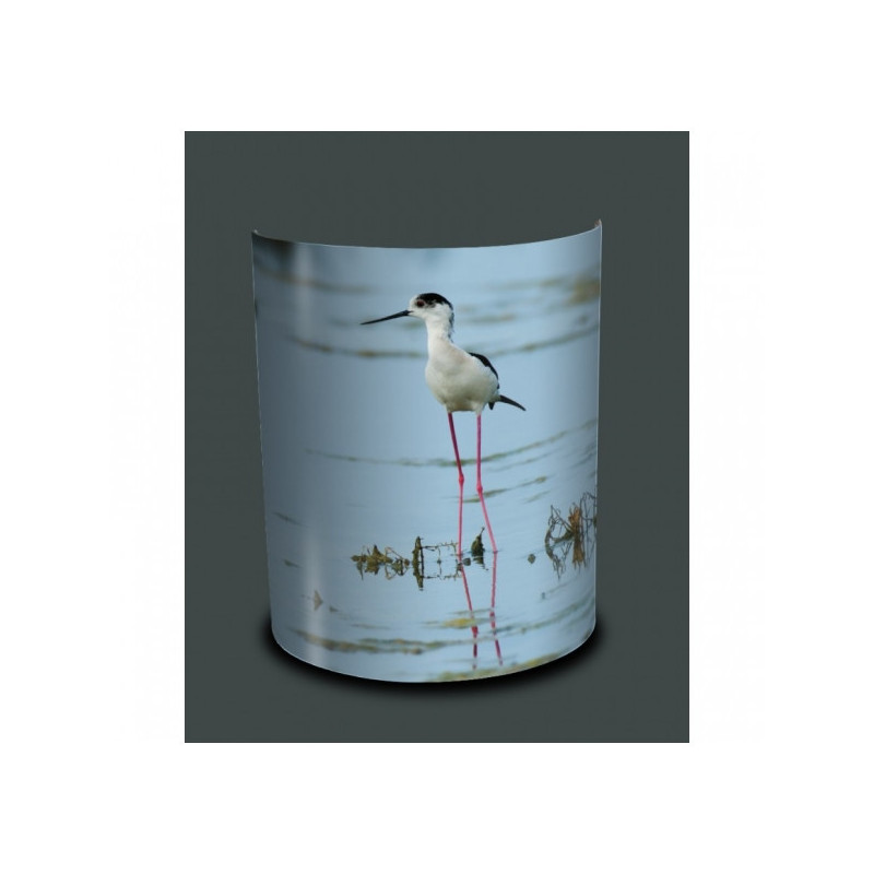 Décoration Luminaire Animaux Applique murale oiseaux chevalier gambette -OI1323APP