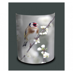 Décoration Luminaire Animaux Applique murale oiseaux chardonneret -OI1435APP