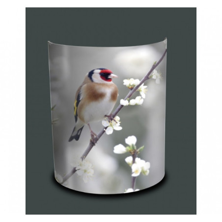 Décoration Luminaire Animaux Applique murale oiseaux chardonneret -OI1435APP