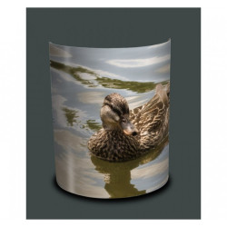 Décoration Luminaire Animaux Applique murale oiseaux colvert souchet -OI1315APP