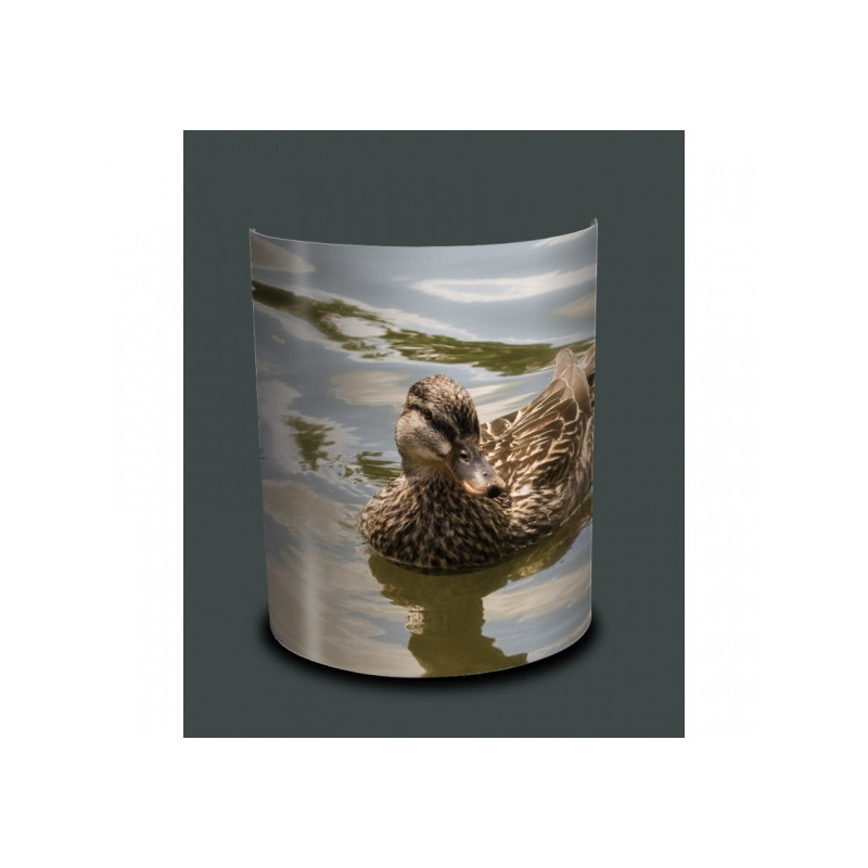 Décoration Luminaire Animaux Applique murale oiseaux colvert souchet -OI1315APP