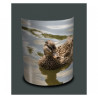 Décoration Luminaire Animaux Applique murale oiseaux colvert souchet -OI1315APP