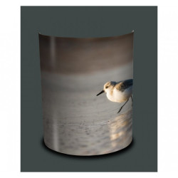 Décoration Luminaire Animaux Applique murale oiseaux bécasseau sanderling -OI1307APP