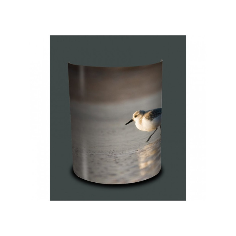 Applique murale oiseaux bécasseau sanderling -OI1307APP