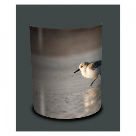Décoration Luminaire Animaux Applique murale oiseaux bécasseau sanderling -OI1307APP