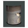 Décoration Luminaire Animaux Applique murale oiseaux bécasseau sanderling -OI1307APP