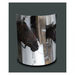 Décoration Luminaire Animaux Applique murale chevaux box -NOA1301APP
